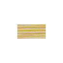 DMC Coloris 8m - Campagne Givree*