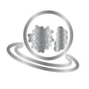 Crafter's Companion Cosmic Metal Die Planet Shaker*