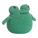 Red Heart Amigurumi Kit Franco The Frog*