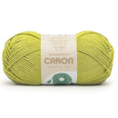 Caron Simply Me Yarn - Olive Quartz