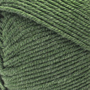 Caron Simply Me Yarn Merino - Basil Heather