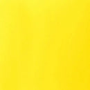 Liquitex Basics Acrylic Paint 118ml - Transparent Yellow