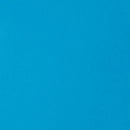 Liquitex Basics Acrylic Paint 118ml - Brilliant Blue
