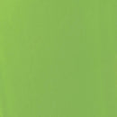 Liquitex Basics Acrylic Paint 118ml - Lime Green