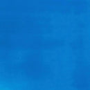 Liquitex Basics Acrylic Paint 118ml - Fluorescent Blue