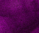 Jasart Byron Acrylic Paint 75ml - Glitter Purple