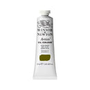 Winsor & Newton Artists' Oil Colour 37ml - S2 - Olive Green*