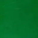Winsor & Newton Artists' Oil Colour 37ml - S2 - Permanent Green Light*