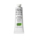 Winsor & Newton Artists' Oil Colour 37ml - S2 - Sap Green*