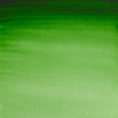 Winsor & Newton Professional Watercolour 5ml - S1 - Hooker's Green*