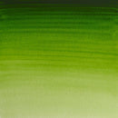 Winsor & Newton Professional Watercolour 5ml - S1 - Permanent Sap Green