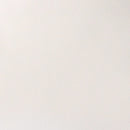 Winsor & Newton Professional Watercolour 5ml - S1 - Titanium White (Opaque White)