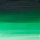 Winsor & Newton Artists' Oil Colour 37ml - S2 - Winsor Green (Yellow Shade)*