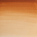 Winsor & Newton Professional Watercolour 5ml - S1 - Brown Ochre*