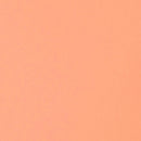 Liquitex Professional Heavy Body Acrylic 59ml - S1 - Light Pink