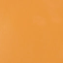 Liquitex Professional Heavy Body Acrylic 59ml - S2 - Naples Yellow Hue