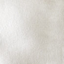 Liquitex Professional Heavy Body Acrylic 59ml - S2 - Iridescent White