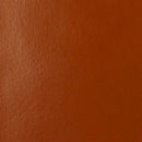 Liquitex Basics Acrylic Paint 118ml - Red Oxide