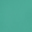 Liquitex Basics Acrylic Paint 118ml - Bright Aqua Green