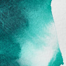 Winsor & Newton Professional Watercolour 5ml - S3 - Aqua Green*