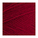 Stylecraft Special DK Premium Acrylic Yarn 100g - Claret