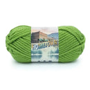 Lion Brand Hometown USA Yarn - Oklahoma City Green