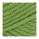 Lion Brand Hometown USA Yarn - Oklahoma City Green