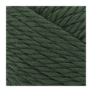 Lion Brand Hometown USA Yarn - Ashland Pine