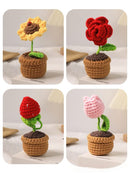 Four crochet flower pots with different flowers on a light background