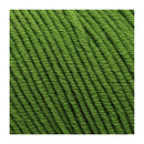 Bellissimo 8 Extra-Fine Merino 8ply Yarn 50g - Green
