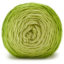 Premier Anti-Pilling Everyday Worsted Gradient Yarn - Green Tones