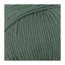 Patons Extra Fine Merino Wool 8ply 50g - Bay Leaf*