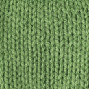Caron One Pound Yarn – Grass Green