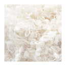 Lion Brand Haute Stitches Shaggy Chic - Natural