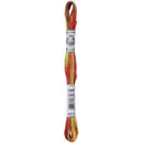 DMC Coloris 8m - Erable*