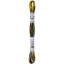 DMC Coloris 8m - Grands Espaces*