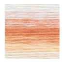Lion Brand Landscapes Renewed Yarn - Desert Spring