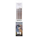 Willow Wolfe Seneca Artist Details Brush Set Round, Bright, Filberts*
