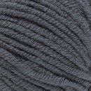 Lion Brand Color Theory Yarn - Thunder