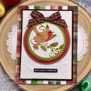 Creative Expressions Companion Colouring Stencil 6"x 8" 2/Pkg - Robin & Snowflakes