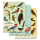 Cavallini Mini Notebooks 3/Pkg - Bird Watching