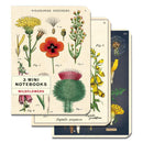 Cavallini Mini Notebooks 3/Pkg - Wildflowers 2