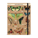 Cavallini Large Notebook - Entomology
