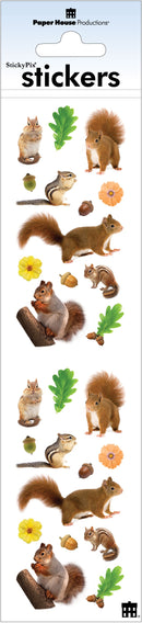 Product image of paper house woodland critters stickers featuring woodland critter stickers with squirrels, chipmunks, acorns and leaves.
