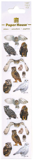 Paper House - Owls 2 Decorative Scrapbooking Stickers