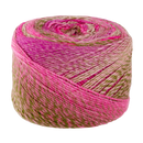 Panda Crypto Acrylic Yarn 8ply 150g - Rose Garden