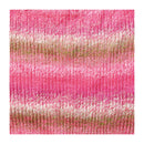 Panda Crypto Acrylic Yarn 8ply 150g - Rose Garden