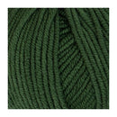 Patons Extra Fine Merino Wool 8ply 50g - Hunter