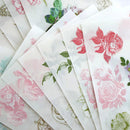 Anna Griffin Rub On Transfers - Antique Botanical