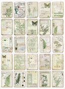 Poppy Crafts Burnt Edge Scrap Paper Pack - Vintage Flora & Fauna
